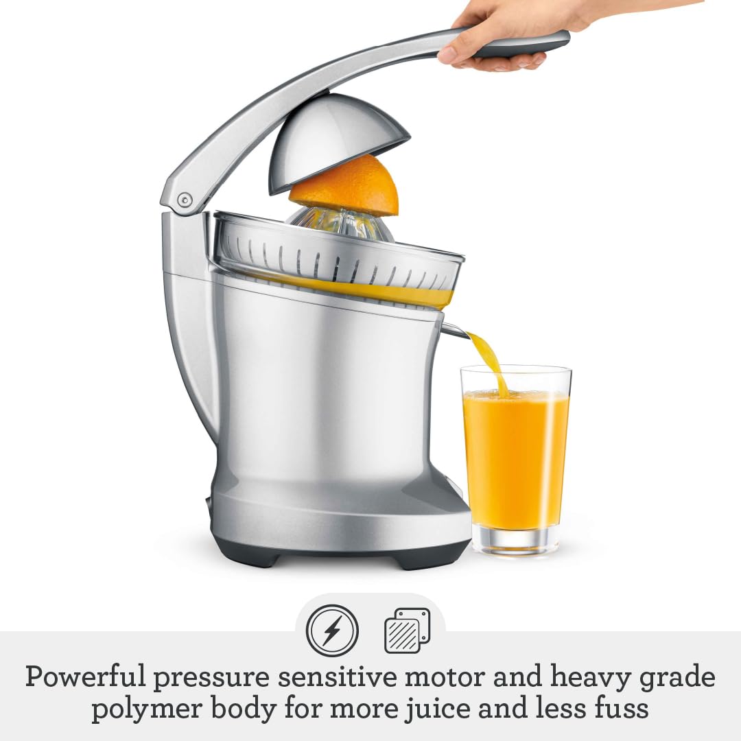 Silver Citrus Press F5168