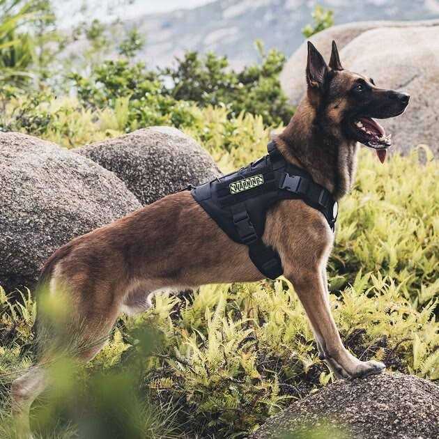 Tactical Dog Harness V281