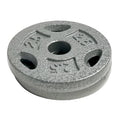 10 lb Standard 1 Weight Plate Set (2.5 lb x 4) T1173