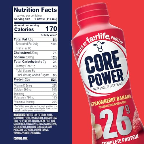 10 Pack Chocolate Vanilla Strawberry Protein Shake K283