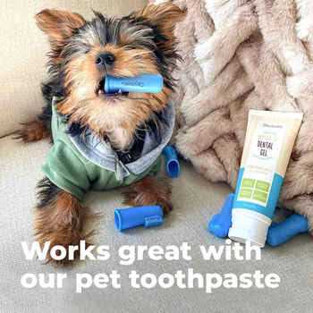 Blue Pet Finger Brush K56130