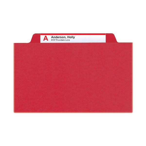 Bright Red 2x22 Expansion Classification File Folder B496