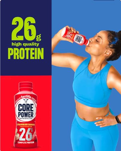 10 Pack Chocolate Vanilla Strawberry Protein Shake K283