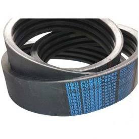 1/2 x 95in Banded Belt Y98532