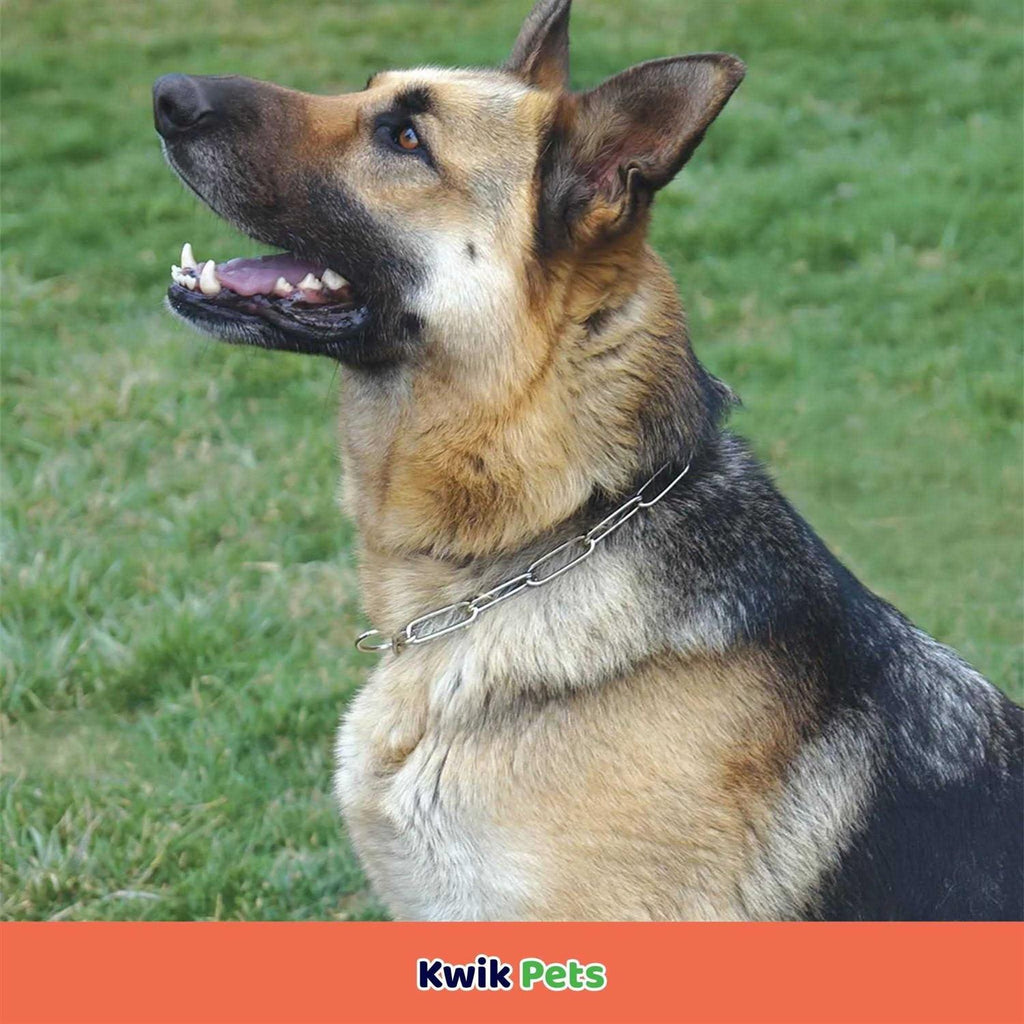 Fur Saver Link Chain Training Dog Collar K1451